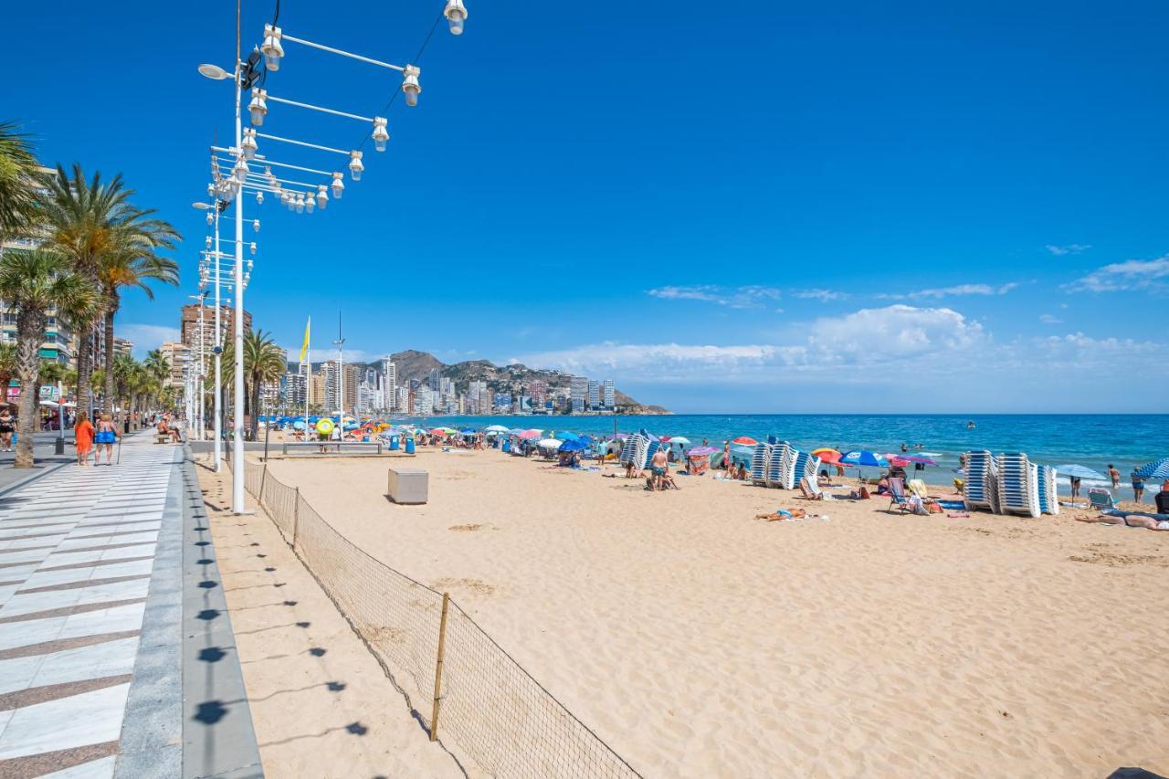 Acintur Apartment Levante Beach-Old Town Benidorm Eksteriør billede