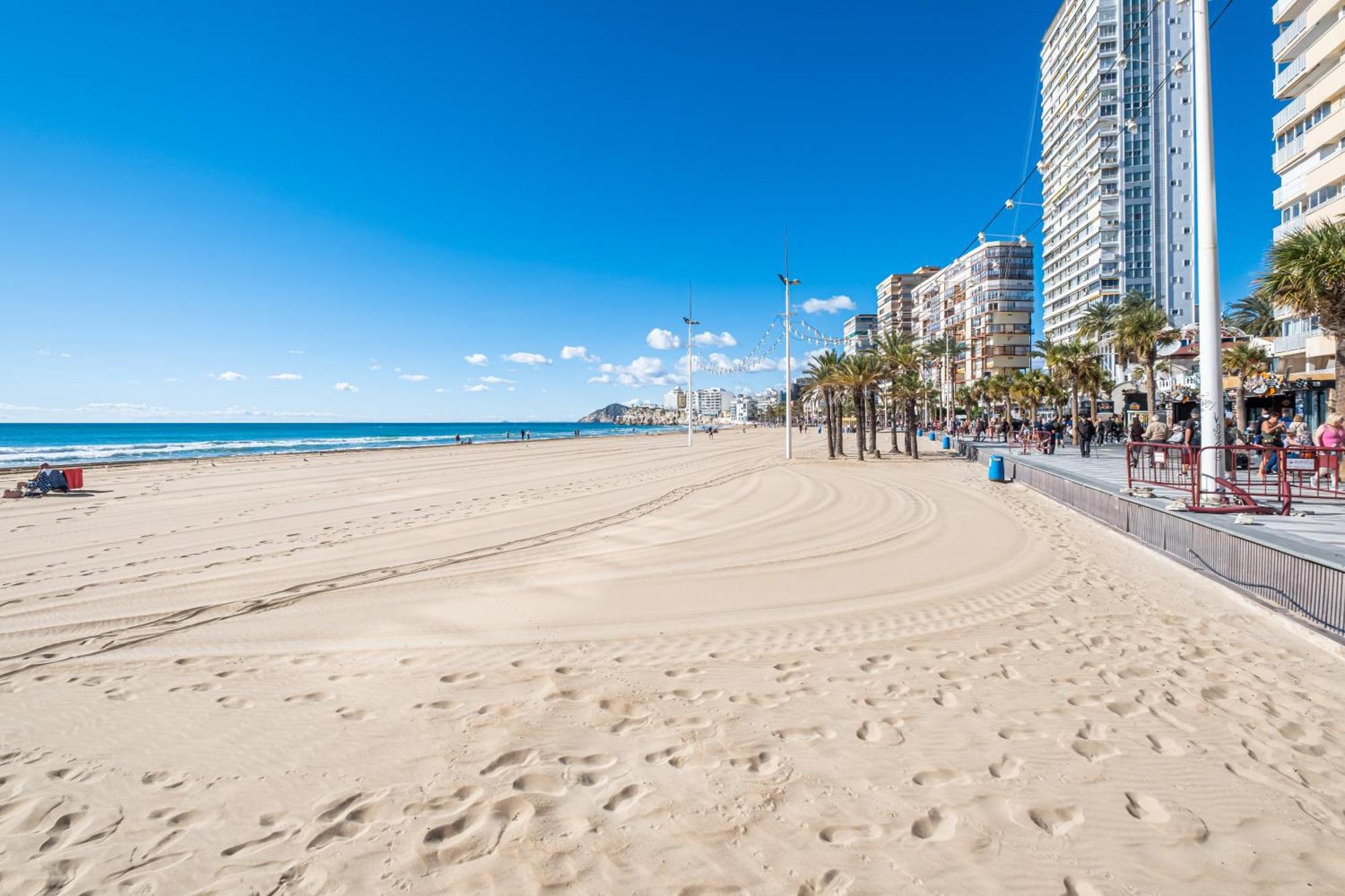 Acintur Apartment Levante Beach-Old Town Benidorm Eksteriør billede